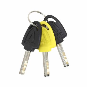 ANTIVOL CHAINE C-BLOC ALERT PRO - AUVRAY