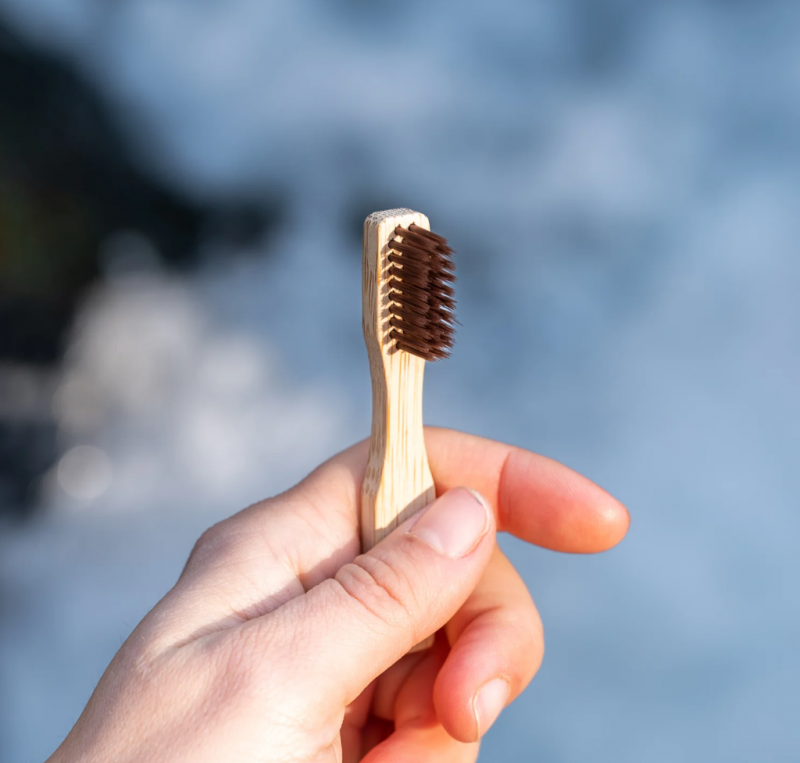Brosse à dents de voyage en bambou